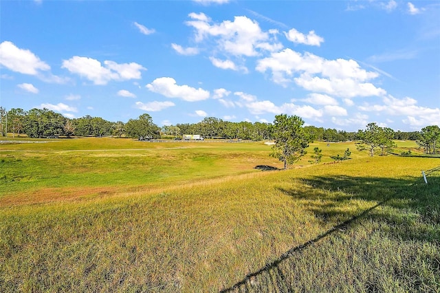 view of yard featuring a rural view