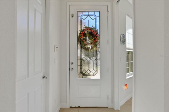 entryway with a healthy amount of sunlight