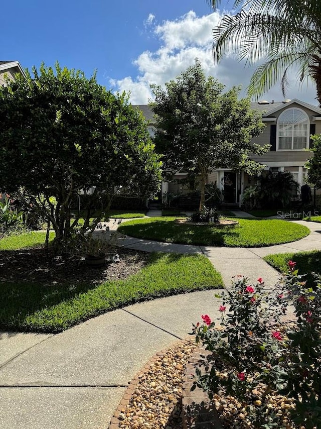 view of community with a lawn