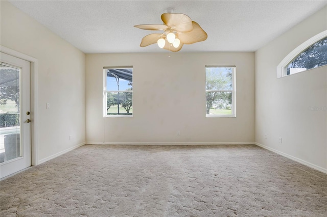 spare room featuring carpet flooring, a healthy amount of sunlight, and a textured ceiling