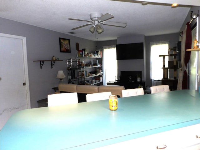 kitchen with a textured ceiling, a wealth of natural light, and ceiling fan