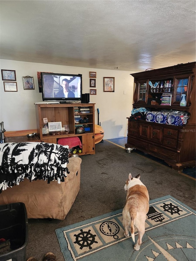 carpeted living room featuring a textured ceiling