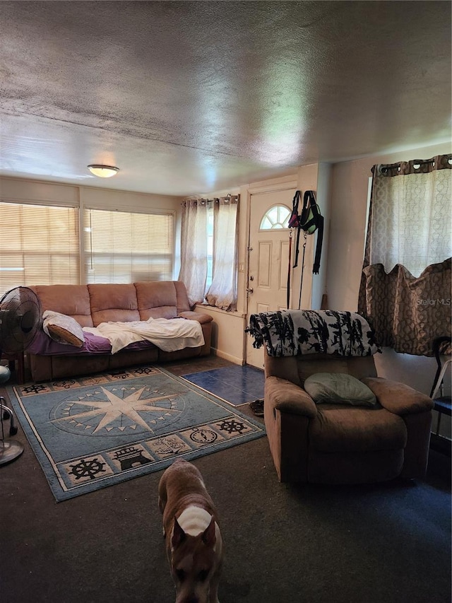 carpeted living room with a textured ceiling