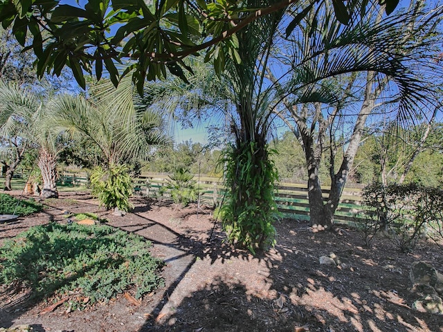 33236 Grand Cypress Way, Leesburg, FL 34748 - view of yard