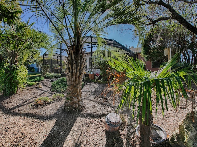 view of yard with a lanai