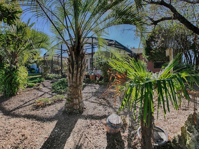 33236 Grand Cypress Way, Leesburg, FL 34748 - view of yard