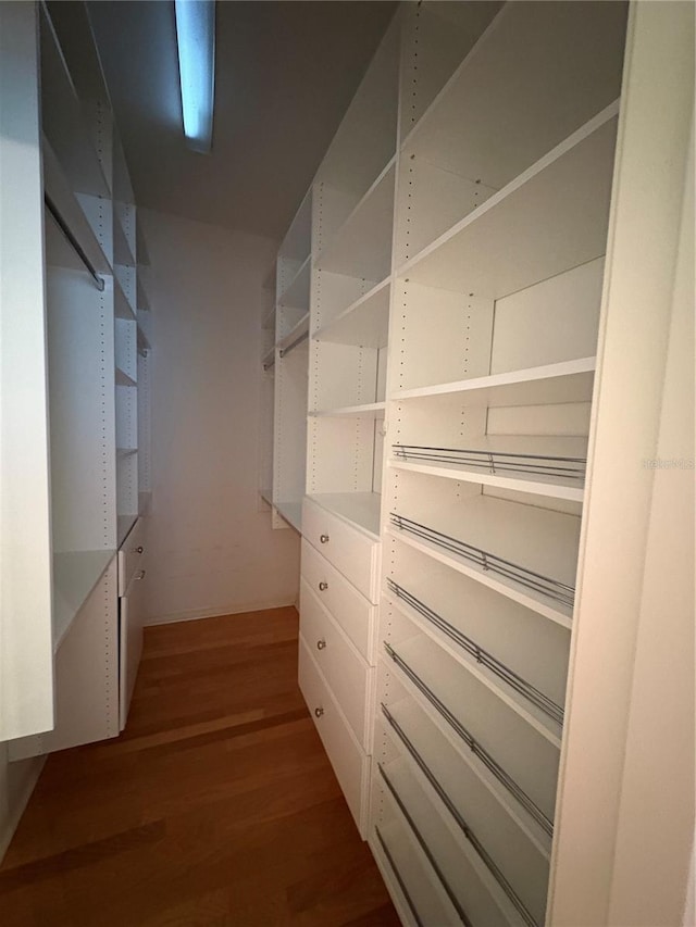 spacious closet with hardwood / wood-style flooring