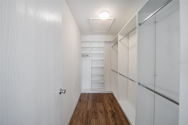 walk in closet featuring dark hardwood / wood-style floors