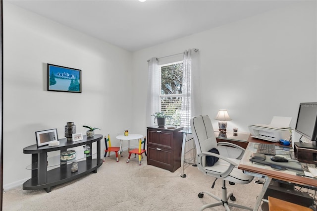 2354 Valhalla Dr, Tavares, FL 32778 - office space with carpet flooring and baseboards