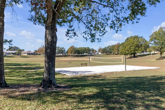 surrounding community featuring a yard and volleyball court