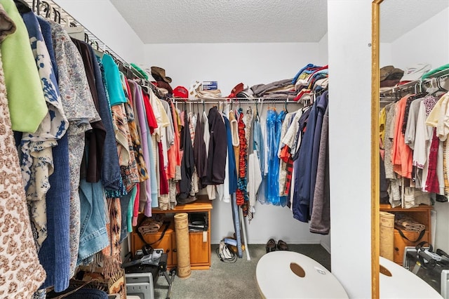 spacious closet featuring carpet