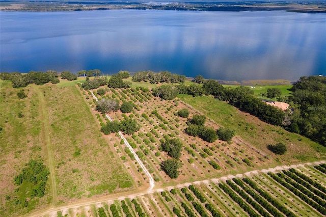 bird's eye view with a water view and a rural view