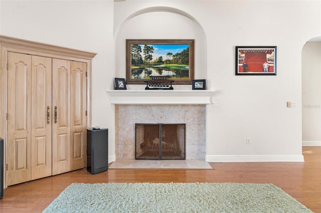 living room featuring a fireplace and light hardwood / wood-style floors