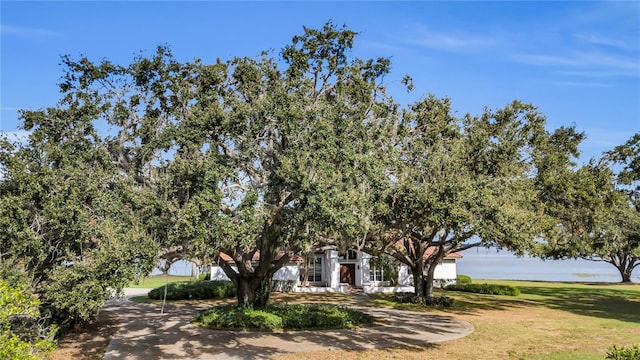 view of property hidden behind natural elements with a water view and a front yard