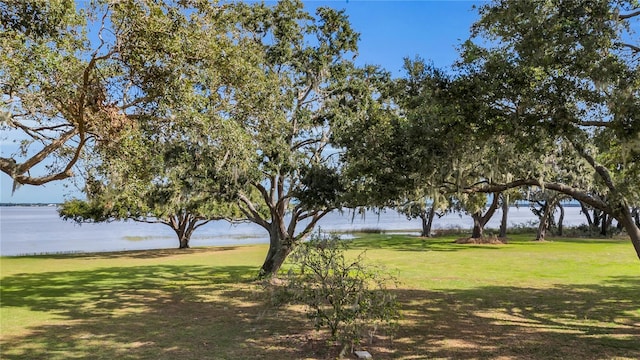 view of yard with a water view