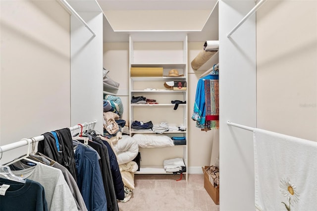 spacious closet with carpet flooring