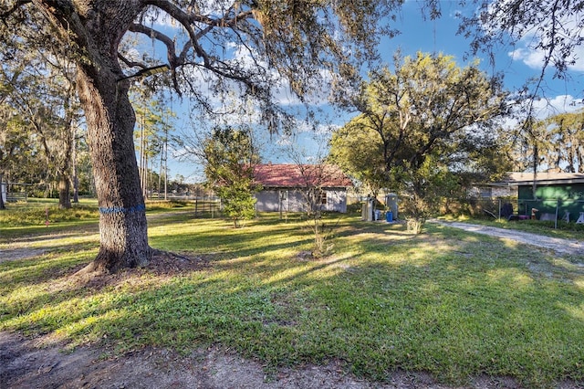 10285 NE 218th Lane Rd, Fort Mc Coy, FL 32134 - view of yard