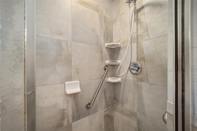 10285 NE 218th Lane Rd, Fort Mc Coy, FL 32134 - bathroom view of a shower stall