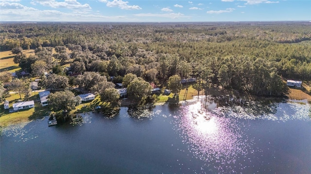 10285 NE 218th Lane Rd, Fort Mc Coy, FL 32134 - bird's eye view of a heavily wooded area and a nearby body of water