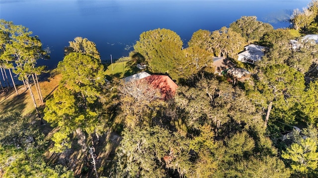 10285 NE 218th Lane Rd, Fort Mc Coy, FL 32134 - aerial view