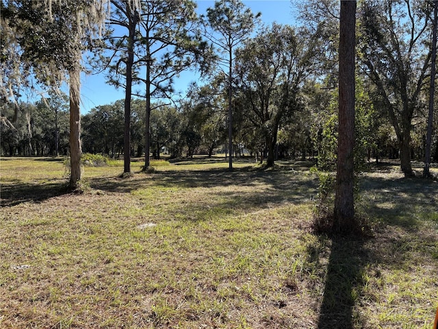 Listing photo 3 for Cr 416n, Lake Panasoffkee FL 33538