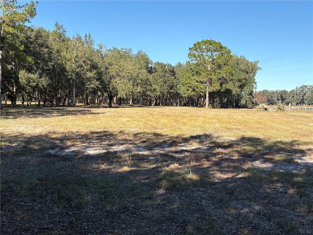 Cr 416n, Lake Panasoffkee FL, 33538 land for sale