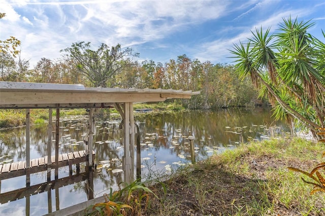 dock area with a water view