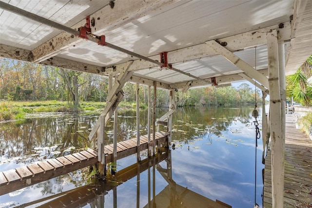 dock area with a water view