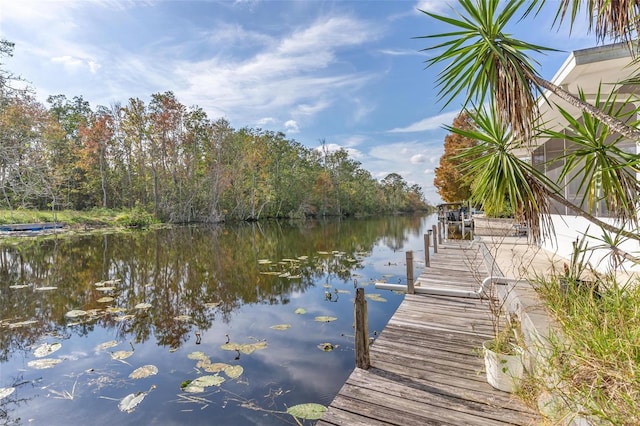 dock area featuring a water view