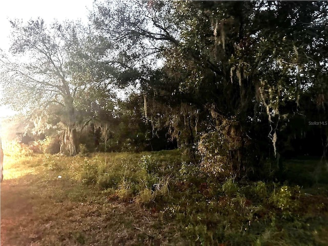 W Hermosa St, Lady Lake, FL 32159 - photo 10