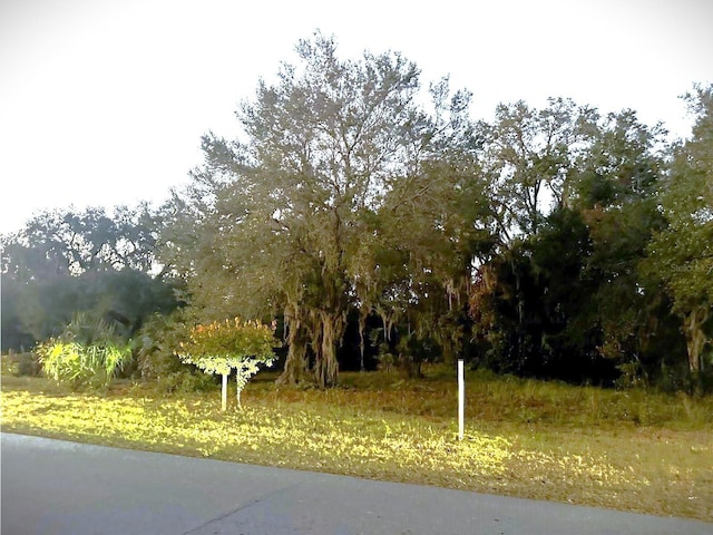 W Hermosa St, Lady Lake, FL 32159 - photo 5
