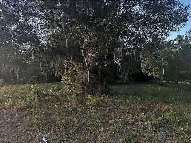 W Hermosa St, Lady Lake, FL 32159 - photo 9