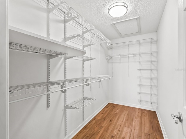 walk in closet featuring hardwood / wood-style floors