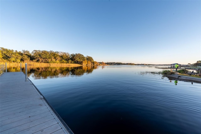 dock area featuring a water view