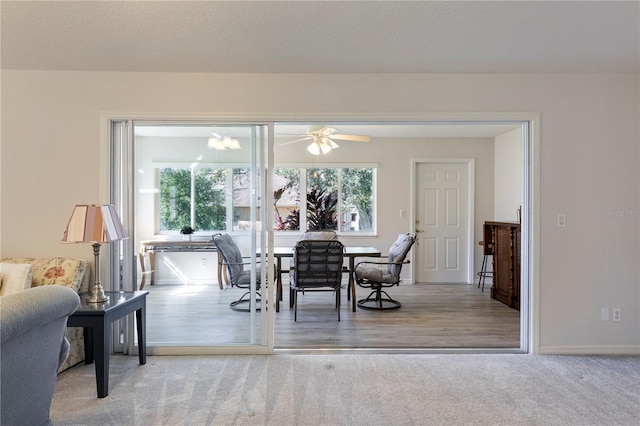 dining room featuring ceiling fan, a textured ceiling, and hardwood / wood-style flooring