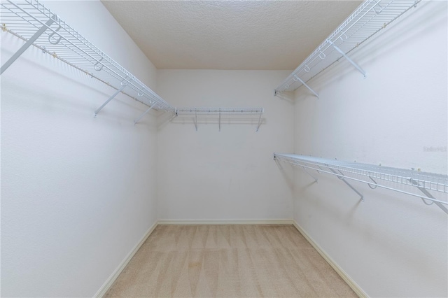 walk in closet featuring carpet flooring