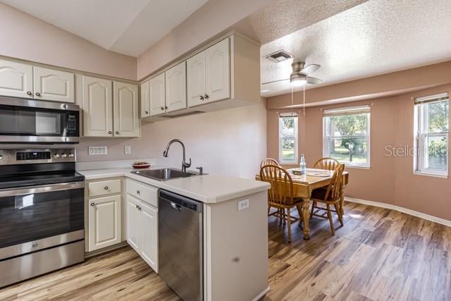 kitchen with plenty of natural light, ceiling fan, sink, and appliances with stainless steel finishes