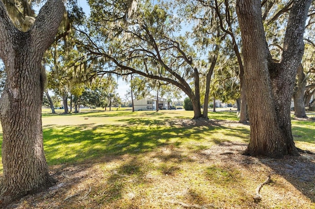 13103 Sandalwood Dr Unit 13103, Wildwood, FL 34785 - photo 21