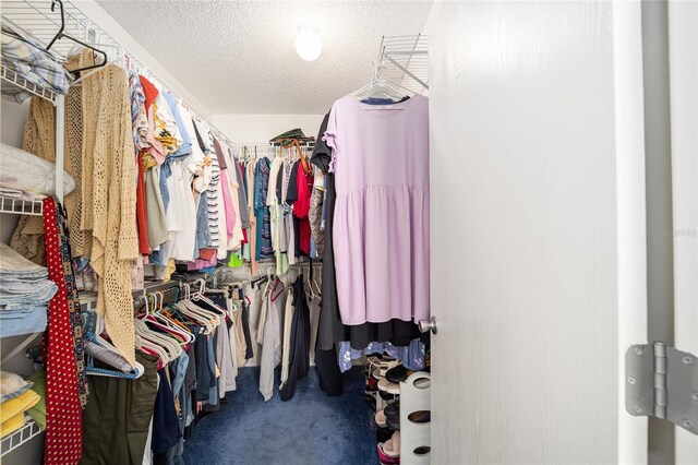 spacious closet featuring carpet flooring