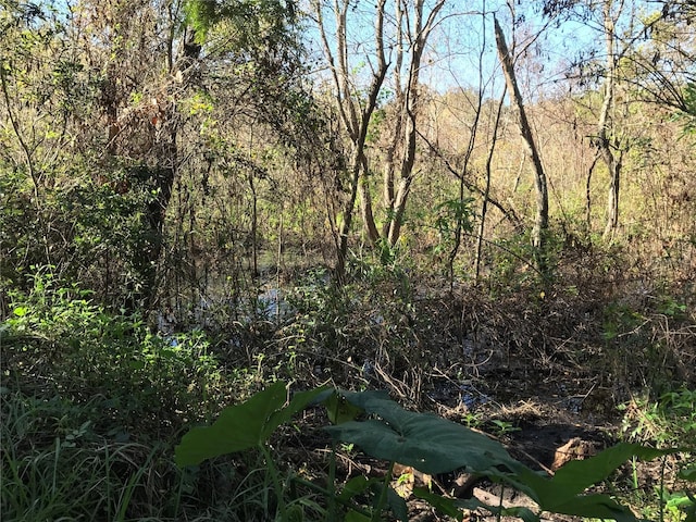 view of nature with a wooded view