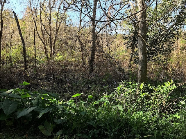 view of landscape with a view of trees