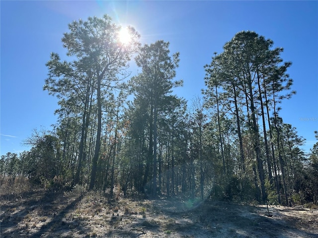 SW 87th Ave, Dunnellon FL, 34432 land for sale