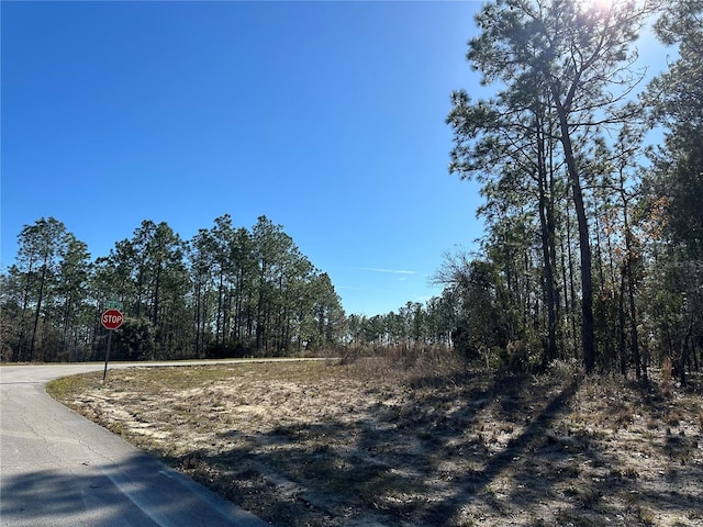 Listing photo 2 for SW 87th Ave, Dunnellon FL 34432