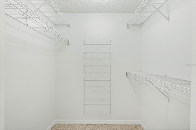 spacious closet with carpet floors