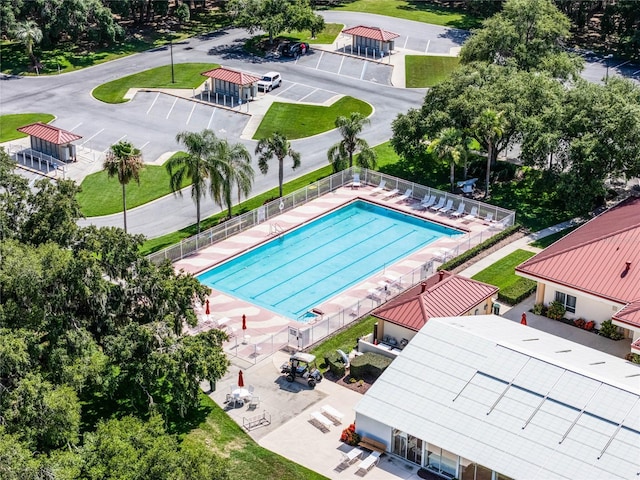 view of swimming pool with a patio