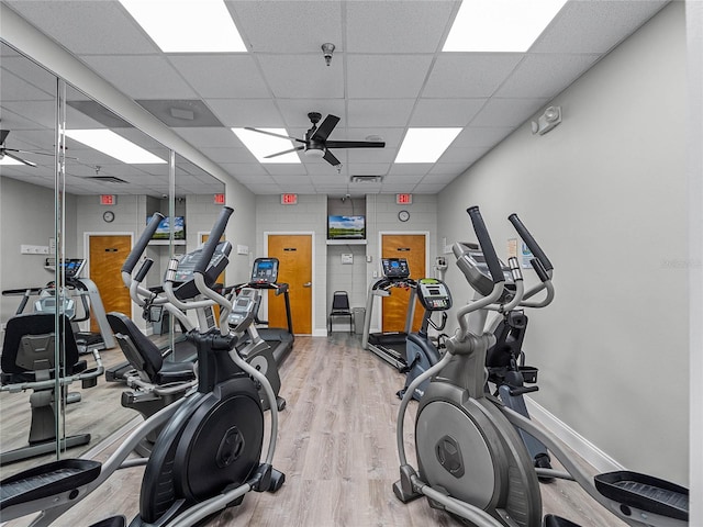 exercise room with ceiling fan, a drop ceiling, and hardwood / wood-style flooring