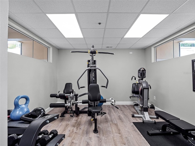 workout area featuring a paneled ceiling, light hardwood / wood-style flooring, and a healthy amount of sunlight