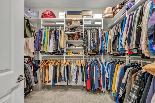 spacious closet with carpet flooring