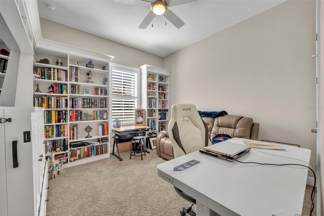 carpeted office featuring ceiling fan