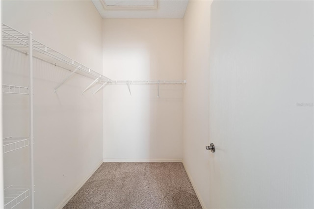 spacious closet with carpet